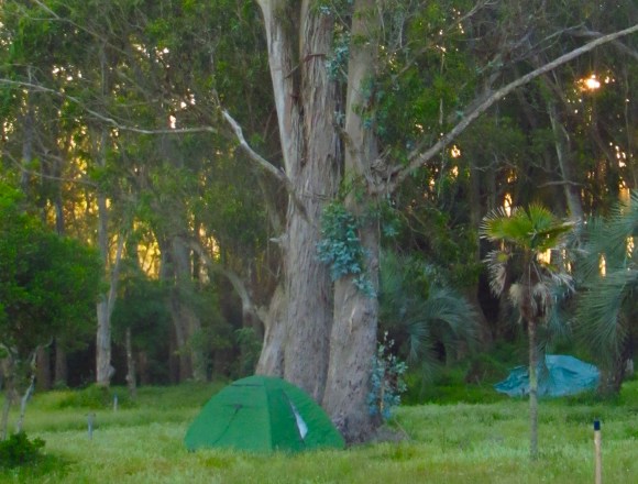 Camping Santa Teresa
